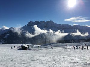 Suisse ski